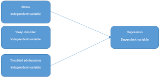 Developing A Conceptual Framework For Research Sample Conceptual Framework Conceptual Framework