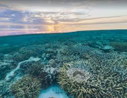 20 Stunning Photos Of Google S Underwater Street View Street View Google Underwater Beautiful Places In The World