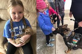 Girl With Inoperable Brain Tumor Surprised By Dozens Of Police K9s And Officers Brain Tumor Terminal Illness Tumor