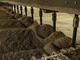 Traditional Floor Malting Isn T Just For A Handful Of Distilleries Trying To Keep The Old Practice Alive Great Western With Images Malts Great Western Photos Of The Week