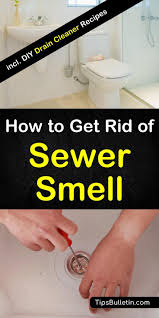 How To Get Rid Of Sewer Smell In Your House From Basements Clean Shower Drain Diy Drain Cleaner Cleaning Hacks