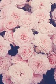 Fondos De Pantalla Hipster Ipad Buscar Con Google Fondos De Pantallas Hipster Fondos Para Iphone Fondos