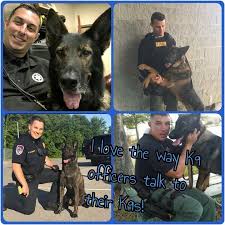 I Love Way They Do Too So More Humane Than Humans Do Each Other Most Times Police Dogs K9 Officer Military Dogs