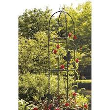 Grande Gloriette 2 Metres Colonne Tuteur Jardin Plante Rose Rosier Grimpant 375 Rosier Grimpant Tuteur Jardin Gloriette De Jardin