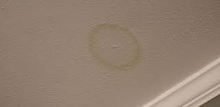 Tips For Locating A Roof Leak In Your Home Today S Homeowner Water Stain On Ceiling Water Damaged Ceiling Ceiling Leak