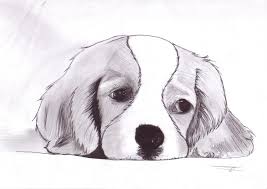 Goupi Dessin Chien Facile Dessin De Chien Dessin Chien
