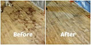 How To Remove Pet Urine Stains From Hardwood Floors I Ve Spent 3 4 Days Researching How To Effectively Remove Pet Uri Remove Pet Stains Urine Stains Pet Stains