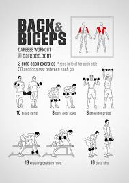 Build Bigger Biceps With This One Trick Back And Biceps Workout Biceps Workout Back And Bicep Workout Dumbell Workout