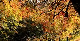 Meteo Luna Septembrie 2020 Temperaturi Demne De Mers La Plajă Toată Luna Ce Se Intamplă Brusc In Octombrie Impact