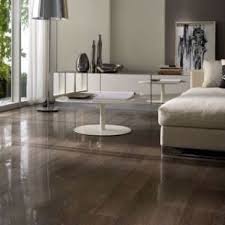 This Is A High Gloss Floor Tile Not Wood Or Vinyl Www Houzz Com Home Modern Floor Tiles Wood Look Tile