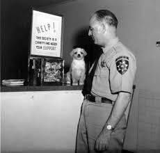 Spcala Humane Officer From The Fifties Animal Shelter Vet Tech Vets