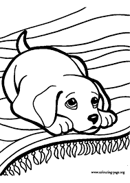 Dessins Colorier Coloriage Chiot Imprimer L Int Rieur Coloriage De Bebe Chien A Imprimer L Chien Coloriage Coloriage Animaux Coloriage Chaton