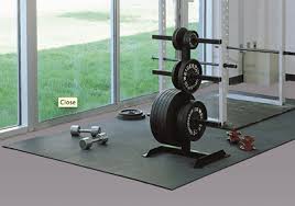 Equinox Gym Mats Stand Alone Gym Mats Gym Floor Mat Gym Flooring