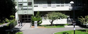 College Of Health Social Sciences Scholarships University Development