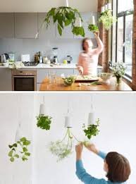 Indoor Garden Idea Hang Your Plants From The Ceiling Walls Indoor Plants Bathroom Hanging Plants Diy Hanging Plants Outdoor
