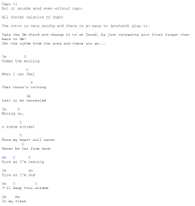 No Ceiling Eddie Vedder 1 Music Guitar Sounds Good No Ceilings