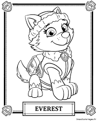 Everest De La Pat Patrouille Coloriage Pat Patrouille Dessin Pat Patrouille Coloriage