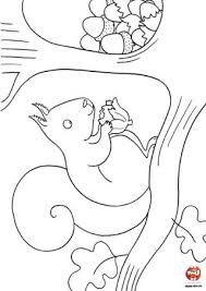 L Ecureuil Mange Une Noisette Coloriages Ecureuil Coloriage Ecureuil Coloriage Ecureuil Dessin