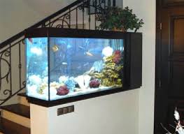 Top 7 Aquarium Designs For Your Interior Design Aquarium Design Wall Aquarium Aquarium