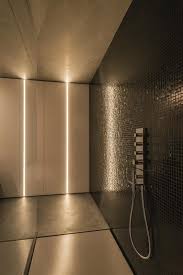 Pin By Rev A Shelf On Puur Bathroom Recessed Lighting Shower Lighting Wall Wash Lighting