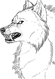 Dessin De Loup Garou Facile Superbe Disposition Dessins Colorier Coloriage Loup Imprimer Prefix Famille X Dessiner Coloriage Loup Loup Dessin Dessin De Loup