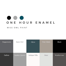 One Hour Enamel Chalk It Up Fancy Wise Owl Paint Wise Owl Paint Colors For Home