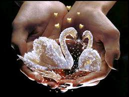 Https Encrypted Tbn0 Gstatic Com Images Q Tbn 3aand9gcsweghz Mzg Kyz Hhhbfpumssnzjj Dx2x W Usqp Cau