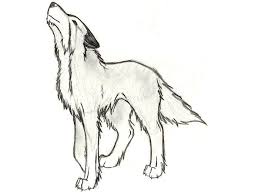 1001 Astuces D Artiste Pour Apprendre A Realiser Un Dessin De Loup Dessin Loup Facile Loup Dessin Dessin De Loup