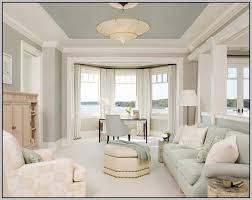 Painting Vaulted Ceiling Same Color As Walls Home Starter Home Blue Ceilings