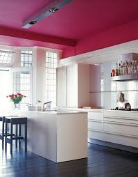 Kitchen Design Tips How To Pick Paint For Walls Cabinets Ceilings Hot Pink Kitchen Pink Kitchen Kitchen Ceiling