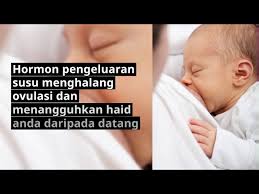 Darah Haid Sedikit Light Period Punca Doctoroncall