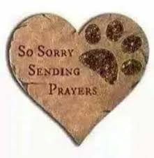 So Sorry Sending Prayers Sending Prayers Pet Sympathy Death Of A Pet