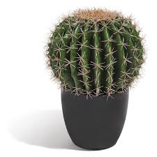 Image Par Mes Petites Passions Sur Plantes En 2020 Tapis Jardin Plantes Artificielles Cactus