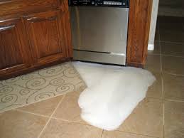 6 Causes Of Dishwasher Leaks They Re More Common Than You Think Dishwasher Leaking Home Maintenance Home Repairs