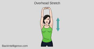 Pin On Exercise