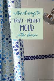Homemade Mold Cleaner Other Natural Ways To Treat Mold In The Shower Cleaning Mold Diy Shower Cleaning Cleaning Shower Tiles