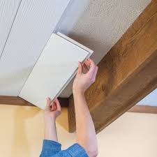 Asbestos Removals Plank Ceiling Covering Popcorn Ceiling Lowes Creative