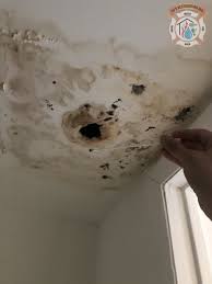 Another Case Of Water Intrusion Leading To Mold Damage In A Property This Particular Case Is An Apartment Un Bathroom Ceiling Mold On Bathroom Ceiling Ceiling