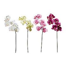 Meubels Verlichting Woondecoratie En Meer Avec Images Fleurs Artificielles Fleurs Artificielles Ikea Fleurs Ikea