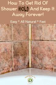 Mold In The Shower It Happens Often But It Doesn T Have To Learn How To Get Rid Of Mold In The Shower Fast In 2020 Remove Mold From Shower Shower Mold