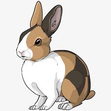 Cartoon Clipart Bunny Clipart Color Clipart Cartoon Bunny Hand Painted Rabbit Between Color Coffee White Ca Cartoon Clip Art Cartoon Bunny Easter Bunny Cartoon