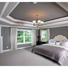 Trey Ceiling Design Ideas Pictures Remodel And Decor Tray Ceiling Bedroom Home Contemporary Bedroom