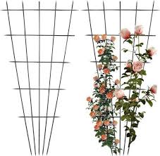 Tuteurise Rosier Grimpant Rose Garden Design Garden Design Plants
