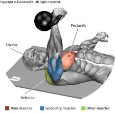 Chest Floor Press One Arm Kettlebell Kettlebell Workout Kettlebell Fitness Body