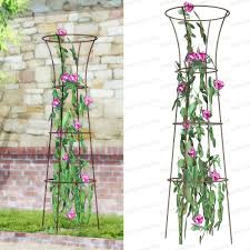 Epingle Par Julie Sur Deco Jardin Rosier Rosier Grimpant Tuteur Rosier Grimpant