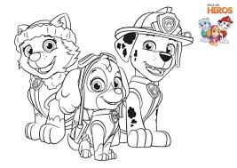 Coloriages Pat Patrouille Avec Stella Everest Et Marcus Coloriage Pat Patrouille Coloriage Paw Patrol Dessin Pat Patrouille