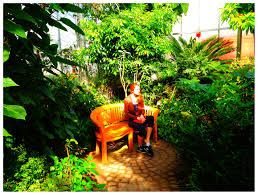 Greenhouse At Smith College In Northampton Ma Outdoor Chairs Adirondack Chair Outdoor