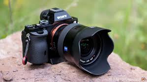 Born To Be Wide The Zeiss Batis 25mm F 2 Review