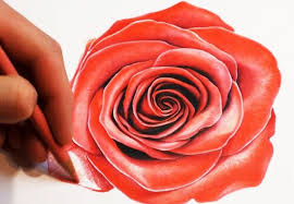 1001 Modeles Et Conseils Pour Apprendre Comment Dessiner Une Rose Comment Dessiner Une Rose Dessin Rose Comment Dessiner