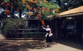 Post Office Waipahu Hawaii July 1959 With Images Post Office Waikiki Hawaii